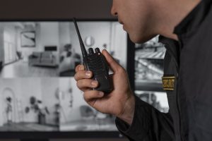 Security Services Security Services